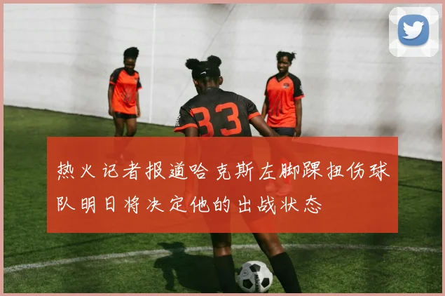 热火记者报道哈克斯左脚踝扭伤球队明日将决定他的出战状态